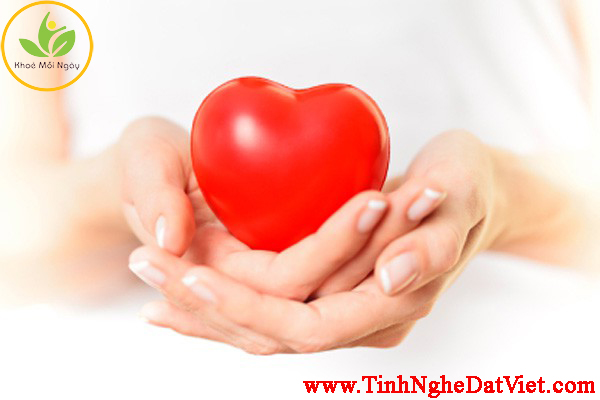 bảo vệ tim mạch với tinh bột nghệ